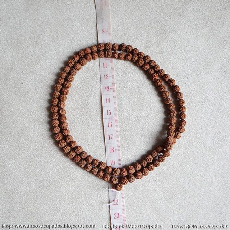 Sementes de rudraksha de 6 milímetros